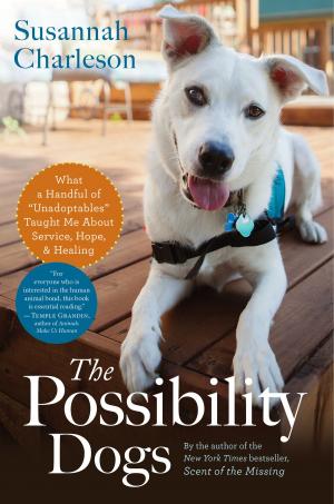 Cover of the book The Possibility Dogs by Betty Crocker