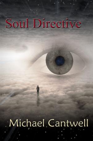 Book cover of Soul Directive