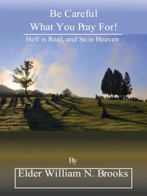 Book cover of Be Careful What You Pray For!