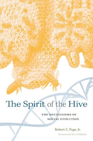 Cover of the book The Spirit of the Hive by Scott  Sowerby