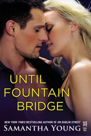 Cover of the book Until Fountain Bridge by Suanne Laqueur
