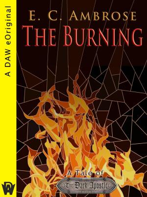 Cover of the book The Burning by Jacey Bedford