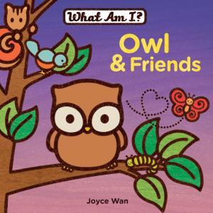 Cover of the book Owl & Friends by Erin Eitter Kono
