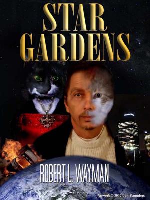 Cover of the book Star Gardens by A.E Valentin