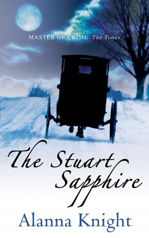 Cover of the book The Stuart Sapphire by David Hingley