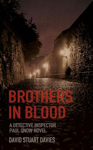 Cover of the book Brothers in Blood by Jonathan Trigg