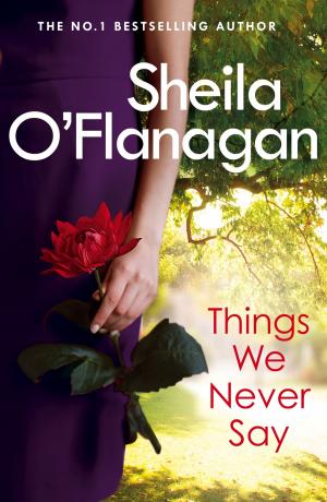 Book cover of Things We Never Say