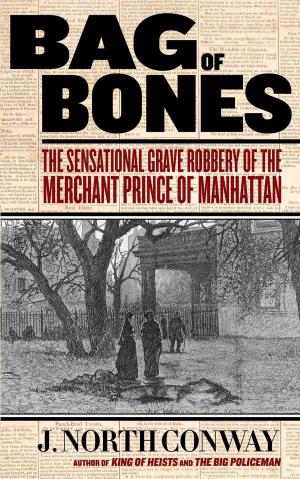 Cover of the book Bag of Bones by Jim Yuskavitch