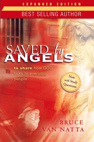Cover of the book Saved by Angels Expanded Edition by Shawn R. McLeod