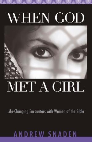 Cover of the book When God Met a Girl by Steve Farrar