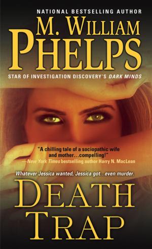 Cover of the book Death Trap by Rebecca Drake