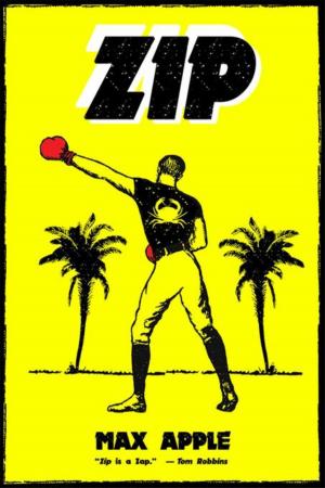 Cover of the book Zip by David Randall