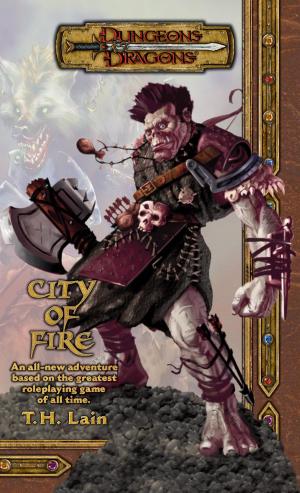 Cover of the book City of Fire by Troy Denning