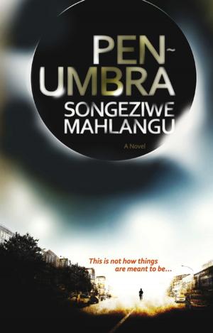 Cover of the book Penumbra by Zirk van den Berg