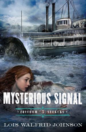 Cover of the book Mysterious Signal by Tessa Afshar