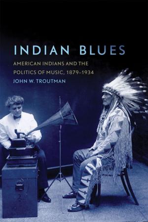 Cover of the book Indian Blues by James E. Mueller