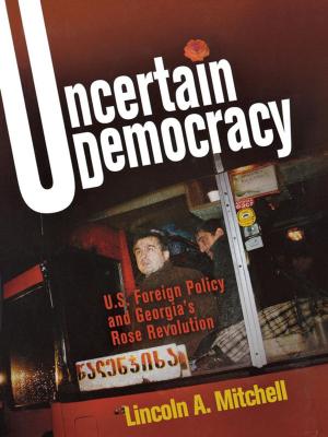 Cover of the book Uncertain Democracy by Paul Douglas Newman