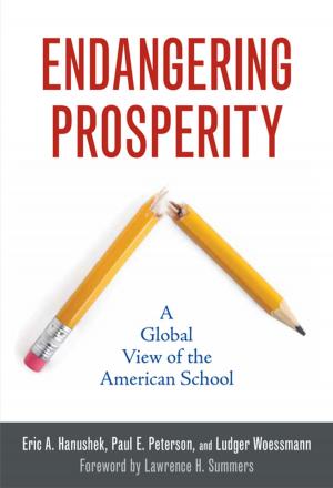 Cover of the book Endangering Prosperity by Jeffrey A. Bader