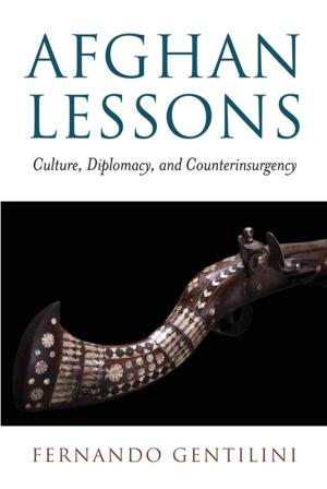 Cover of the book Afghan Lessons by Charles K. Ebinger