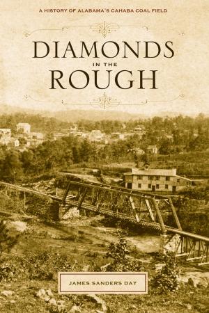 Cover of the book Diamonds in the Rough by Patricia Barker Lerch, Priscilla Freeman Jacobs