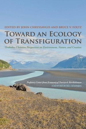 Cover of the book Toward an Ecology of Transfiguration by John C. Olin