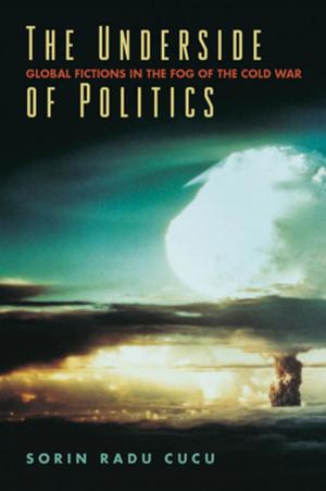 Cover of the book The Underside of Politics by ERNESTO VILLANUEVA, HILDA NUCCI