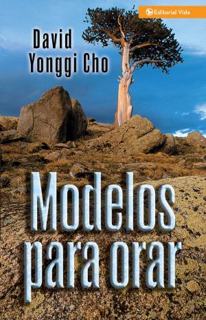 Cover of the book Modelos para orar by Ann Spangler