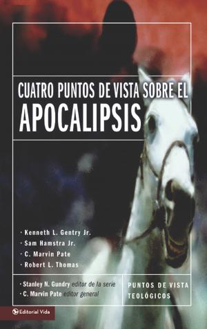 Book cover of Cuatro puntos de vista sobre el Apocalipsis