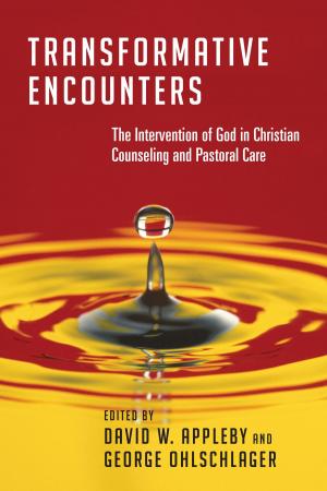 Book cover of Transformative Encounters