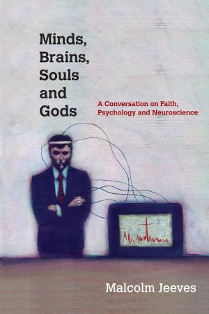 Cover of the book Minds, Brains, Souls and Gods by Donald J. Wiseman