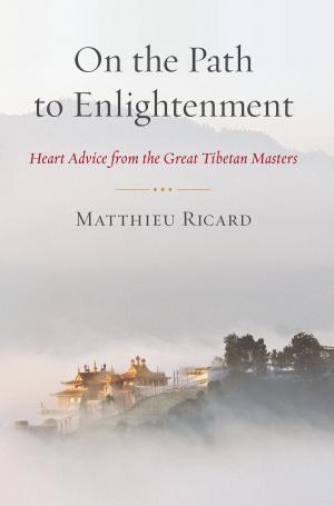 Cover of the book On the Path to Enlightenment by Ken Wilber