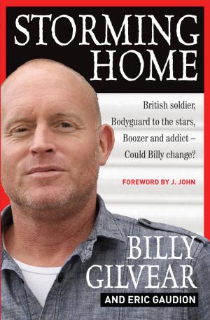 Book cover of Storming Home