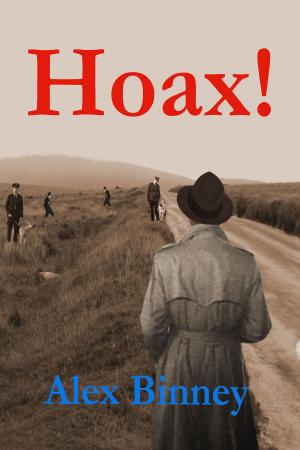 Cover of the book Hoax! by Mark Stephens