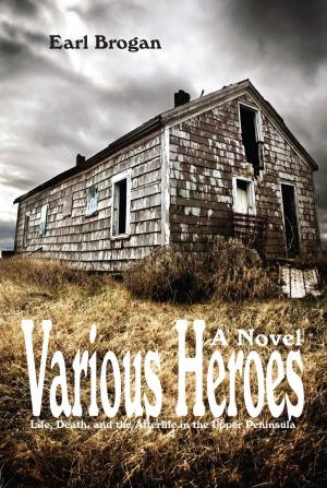 Cover of the book Various Heroes by Jamie Parsley