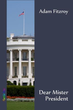 Book cover of Dear Mister President