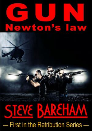 Cover of the book GUN: Newton's Law by Lisa Unger