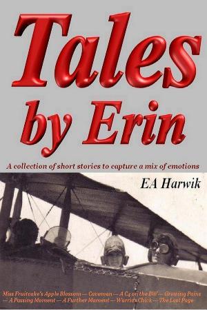 Cover of the book Tales by Erin by Ryan J. Pelton