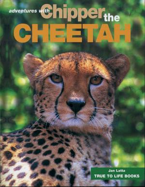 bigCover of the book Chipper the Cheetah by 