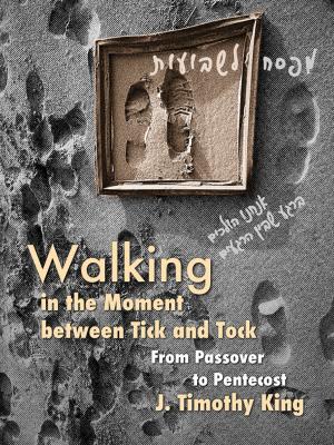 Cover of the book Walking in the Moment between Tick and Tock by Jonathan Edwards