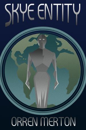 Cover of the book Skye Entity by Andrew Woodmaker