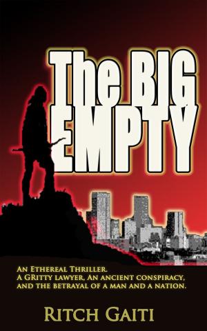 Cover of the book The Big Empty by Rickard B DeMille