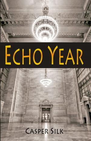 Cover of the book Echo Year by Larry Alon Levitan