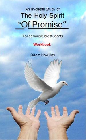 Cover of An In-depth Study of the Holy Spirit of Promise Workbook