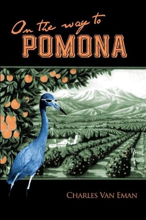 Cover of the book On The Way To Pomona by John Rachel