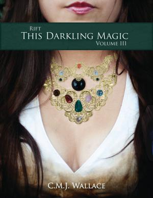Book cover of This Darkling Magic
