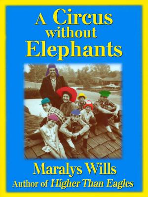 Cover of the book A Circus Without Elephants by Simone Colwill