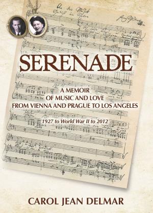 Cover of the book Serenade by Kenneth Kam