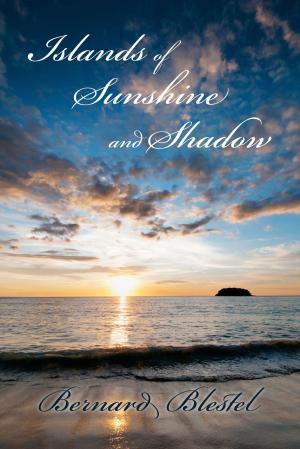 Cover of the book Islands of Sunshine and Shadow by Donna M Smith
