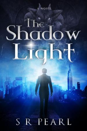 Cover of the book The Shadow Light by Angie Thompson