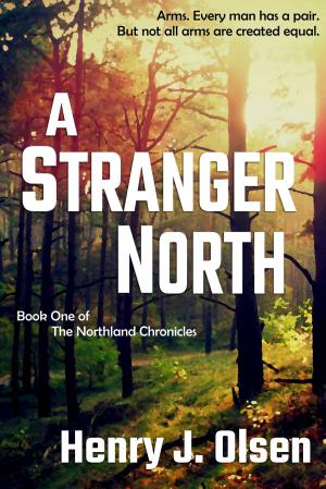 Cover of the book A Stranger North by Gail Thibert